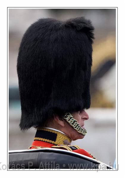 Trooping the Colour 118.jpg